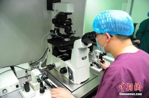 基因編輯的倫理邊界與科學(xué)責(zé)任 從賀建奎事件看人體干細(xì)胞技術(shù)的焦點(diǎn)與未來