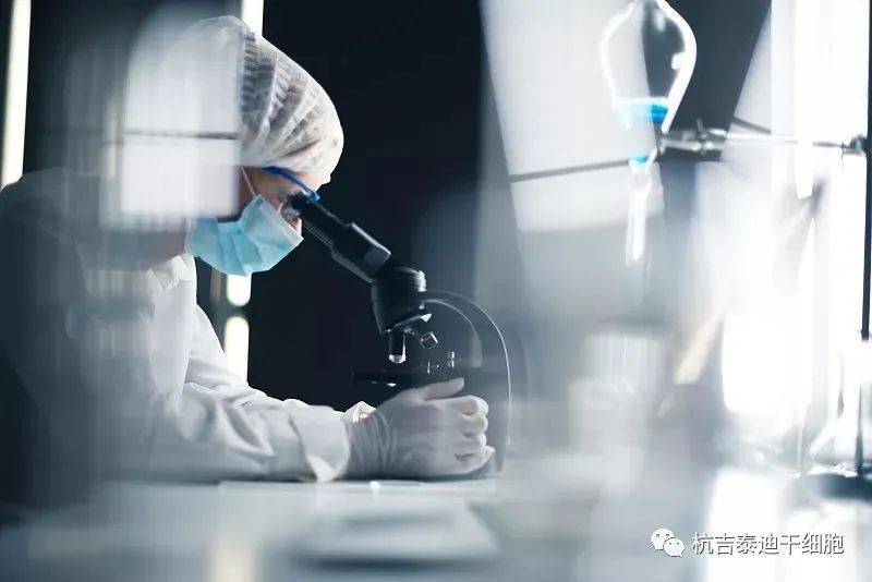 干細(xì)胞技術(shù)治療漸凍癥的潛在挑戰(zhàn) 不良反應(yīng)、費(fèi)用與未來展望